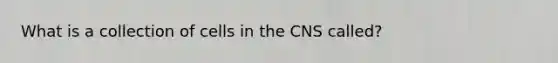 What is a collection of cells in the CNS called?