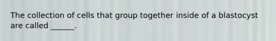 The collection of cells that group together inside of a blastocyst are called ______.