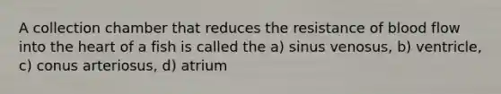 A collection chamber that reduces the resistance of blood flow into the heart of a fish is called the a) sinus venosus, b) ventricle, c) conus arteriosus, d) atrium