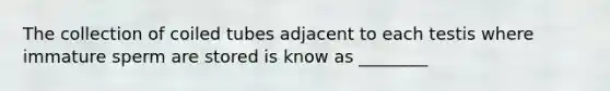 The collection of coiled tubes adjacent to each testis where immature sperm are stored is know as ________