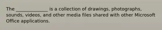 The ______________ is a collection of drawings, photographs, sounds, videos, and other media files shared with other Microsoft Office applications.