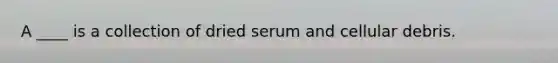 A ____ is a collection of dried serum and cellular debris.