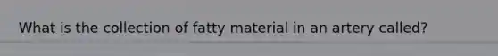 What is the collection of fatty material in an artery called?