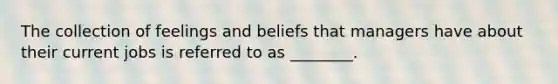 The collection of feelings and beliefs that managers have about their current jobs is referred to as ________.