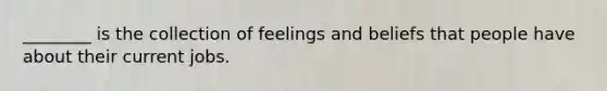 ________ is the collection of feelings and beliefs that people have about their current jobs.