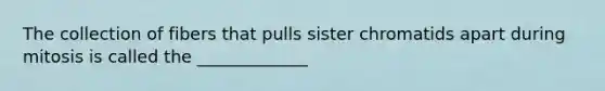 The collection of fibers that pulls sister chromatids apart during mitosis is called the _____________