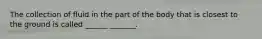 The collection of fluid in the part of the body that is closest to the ground is called ______ _______.