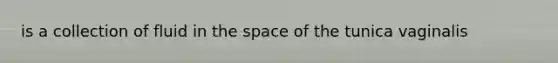 is a collection of fluid in the space of the tunica vaginalis