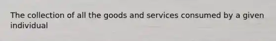 The collection of all the goods and services consumed by a given individual