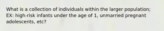 What is a collection of individuals within the larger population; EX: high-risk infants under the age of 1, unmarried pregnant adolescents, etc?