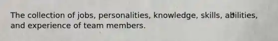 The collection of jobs, personalities, knowledge, skills, abilities, and experience of team members.