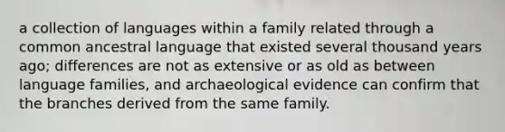 a collection of languages within a family related through a common ancestral language that existed several thousand years ago; differences are not as extensive or as old as between language families, and archaeological evidence can confirm that the branches derived from the same family.