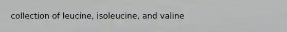 collection of leucine, isoleucine, and valine