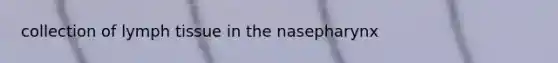 collection of lymph tissue in the nasepharynx