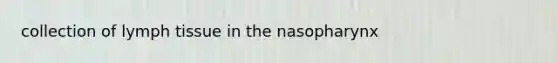 collection of lymph tissue in the nasopharynx