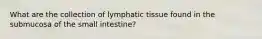 What are the collection of lymphatic tissue found in the submucosa of the small intestine?