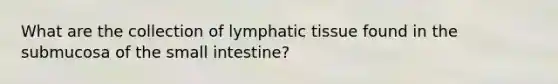 What are the collection of lymphatic tissue found in the submucosa of the small intestine?