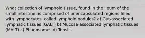 What collection of lymphoid tissue, found in the ileum of the small intestine, is comprised of unencapsulated regions filled with lymphocytes, called lymphoid nodules? a) Gut-associated lymphatic tissues (GALT) b) Mucosa-associated lymphatic tissues (MALT) c) Phagosomes d) Tonsils