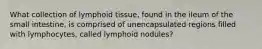 What collection of lymphoid tissue, found in the ileum of the small intestine, is comprised of unencapsulated regions filled with lymphocytes, called lymphoid nodules?