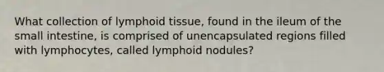 What collection of lymphoid tissue, found in the ileum of the small intestine, is comprised of unencapsulated regions filled with lymphocytes, called lymphoid nodules?