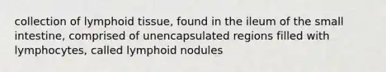 collection of lymphoid tissue, found in the ileum of the small intestine, comprised of unencapsulated regions filled with lymphocytes, called lymphoid nodules