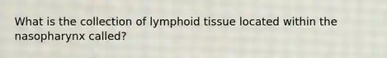 What is the collection of lymphoid tissue located within the nasopharynx called?