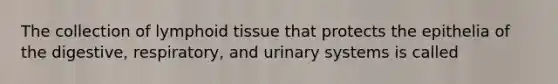 The collection of lymphoid tissue that protects the epithelia of the digestive, respiratory, and urinary systems is called