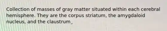 Collection of masses of gray matter situated within each cerebral hemisphere. They are the corpus striatum, the amygdaloid nucleus, and the claustrum