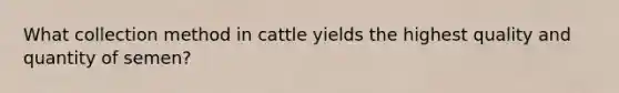 What collection method in cattle yields the highest quality and quantity of semen?