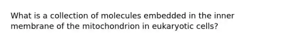 What is a collection of molecules embedded in the inner membrane of the mitochondrion in <a href='https://www.questionai.com/knowledge/kb526cpm6R-eukaryotic-cells' class='anchor-knowledge'>eukaryotic cells</a>?