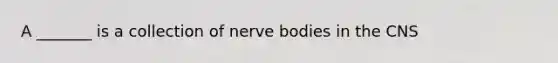 A _______ is a collection of nerve bodies in the CNS