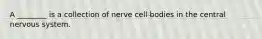 A ________ is a collection of nerve cell bodies in the central nervous system.