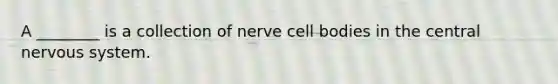 A ________ is a collection of nerve cell bodies in the central nervous system.