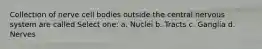 Collection of nerve cell bodies outside the central nervous system are called Select one: a. Nuclei b. Tracts c. Ganglia d. Nerves