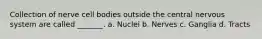 Collection of nerve cell bodies outside the central nervous system are called _______. a. Nuclei b. Nerves c. Ganglia d. Tracts