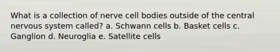 What is a collection of nerve cell bodies outside of the central nervous system called? a. Schwann cells b. Basket cells c. Ganglion d. Neuroglia e. Satellite cells