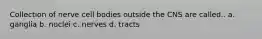 Collection of nerve cell bodies outside the CNS are called.. a. ganglia b. nuclei c. nerves d. tracts