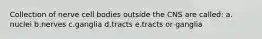 Collection of nerve cell bodies outside the CNS are called: a. nuclei b.nerves c.ganglia d.tracts e.tracts or ganglia
