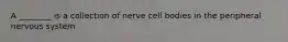 A ________ is a collection of nerve cell bodies in the peripheral nervous system