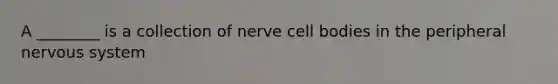 A ________ is a collection of nerve cell bodies in the peripheral nervous system