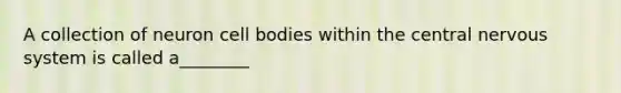 A collection of neuron cell bodies within the central nervous system is called a________