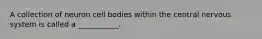 A collection of neuron cell bodies within the central nervous system is called a ___________.