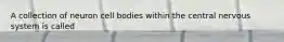 A collection of neuron cell bodies within the central nervous system is called