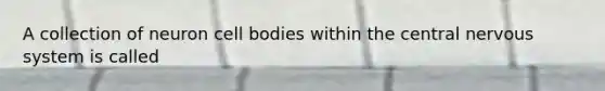 A collection of neuron cell bodies within the central nervous system is called