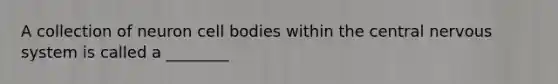 A collection of neuron cell bodies within the central <a href='https://www.questionai.com/knowledge/kThdVqrsqy-nervous-system' class='anchor-knowledge'>nervous system</a> is called a ________