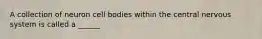 A collection of neuron cell bodies within the central nervous system is called a ______