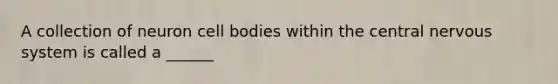 A collection of neuron cell bodies within the central nervous system is called a ______