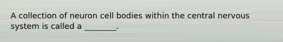 A collection of neuron cell bodies within the central <a href='https://www.questionai.com/knowledge/kThdVqrsqy-nervous-system' class='anchor-knowledge'>nervous system</a> is called a ________.