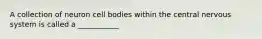 A collection of neuron cell bodies within the central nervous system is called a ___________
