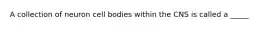 A collection of neuron cell bodies within the CNS is called a _____